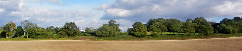 stables-at-black-hedges-farmhouse-availability
