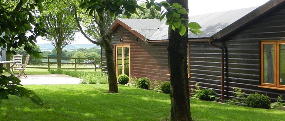 black-hedges-hampshire-side-view
