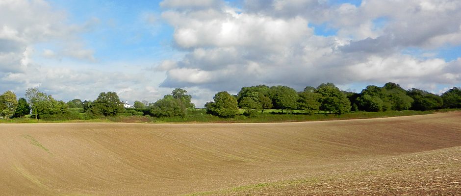 hampshire-holiday-cottages_g